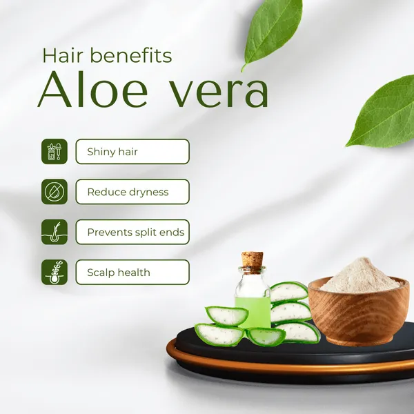 Aloe_Vera_Hair_Pack_Powder_Nourishment_Hydration_Scalp_Care_Pack_Of_2
