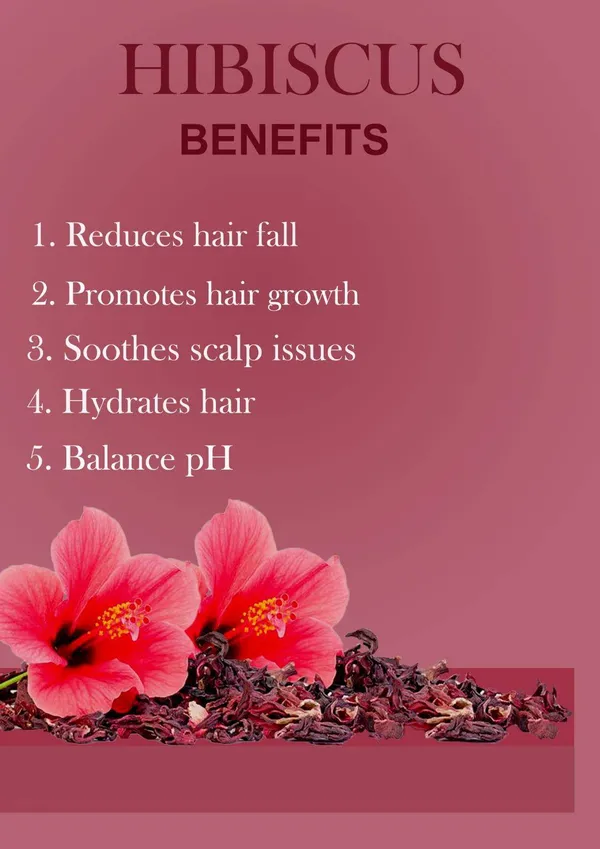 Hibiscus_Hair_Pack_Powder_For_Natural_Shine_Strength_Scalp_Care_Pack_Of_2