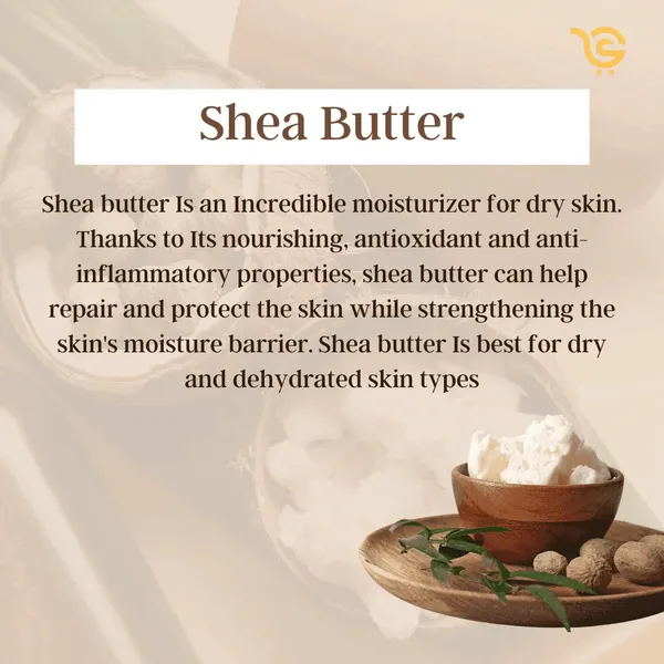 Shea_Butter_Glycerine_Soap_For_Deep_Moisture_Skin_Softening_Care_Pack_Of_2