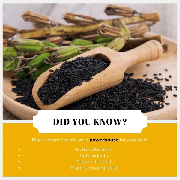 Sesame_Hair_Pack_Powder_For_Nourishing_Hair_Strengthening_Scalp_Care_Pack_Of_2