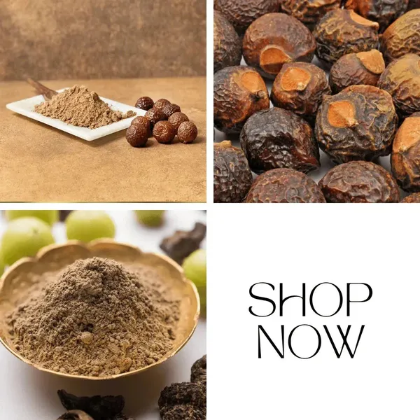 Natural_Cleanser_Hair_Strengthening_Shine_Reetha_Hair_Pack_Powder_Pack_Of_2