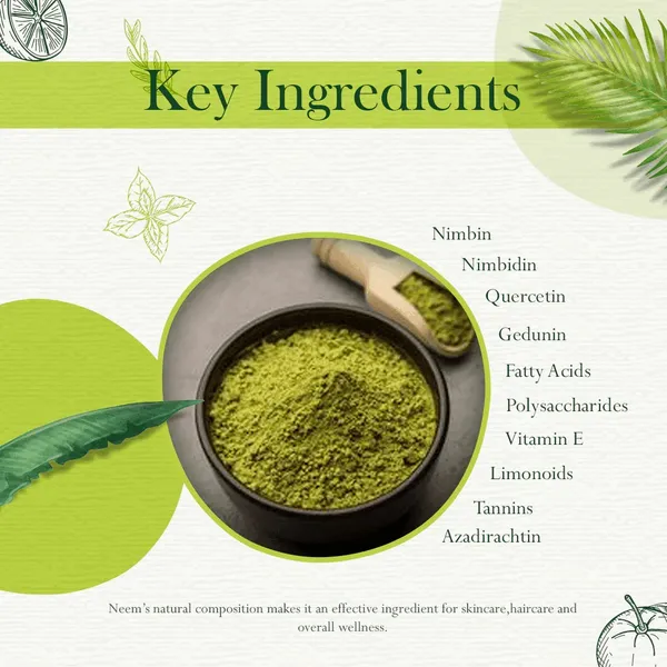 Neem_Hair_Pack_Powder_For_Scalp_Care_Dandruff_Control_Hair_Strength_Pack_Of_2
