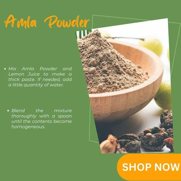 Amla_Hair_Pack_Powder_For_Strengthen_Shine_Scalp_Care_Pack_Of_2