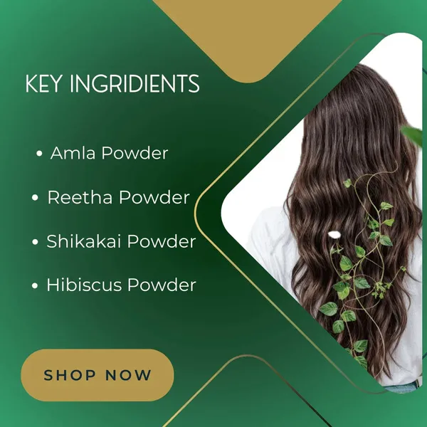 Amla_Hair_Pack_Powder_For_Strengthen_Shine_Scalp_Care_Pack_Of_2