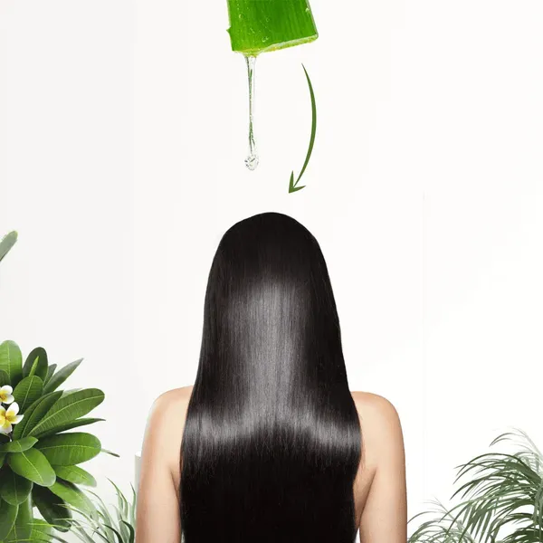 Aloe_Vera_Hair_Pack_Powder_For_Nourishment_Hydration_Scalp_Care_Pack_Of_2