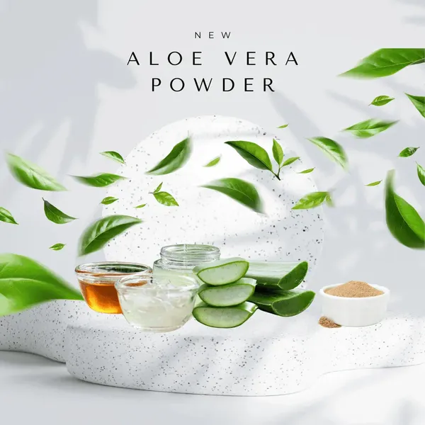 Aloe_Vera_Hair_Pack_Powder_For_Nourishment_Hydration_Scalp_Care_Pack_Of_2