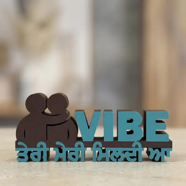 Vibe_Teri_Meri_Mildi_A_Punjabi