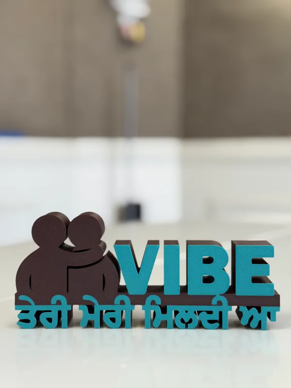 Vibe_Teri_Meri_Mildi_A_Punjabi