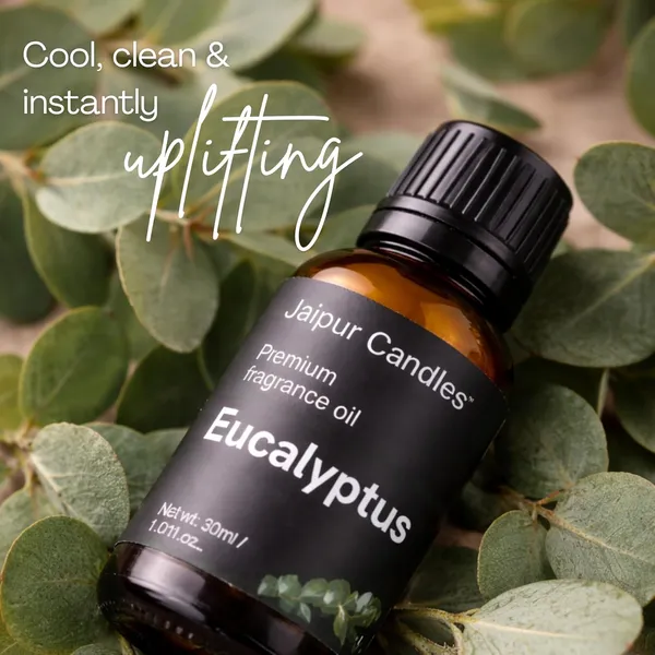 Eucalyptus_Fragrance_Oil