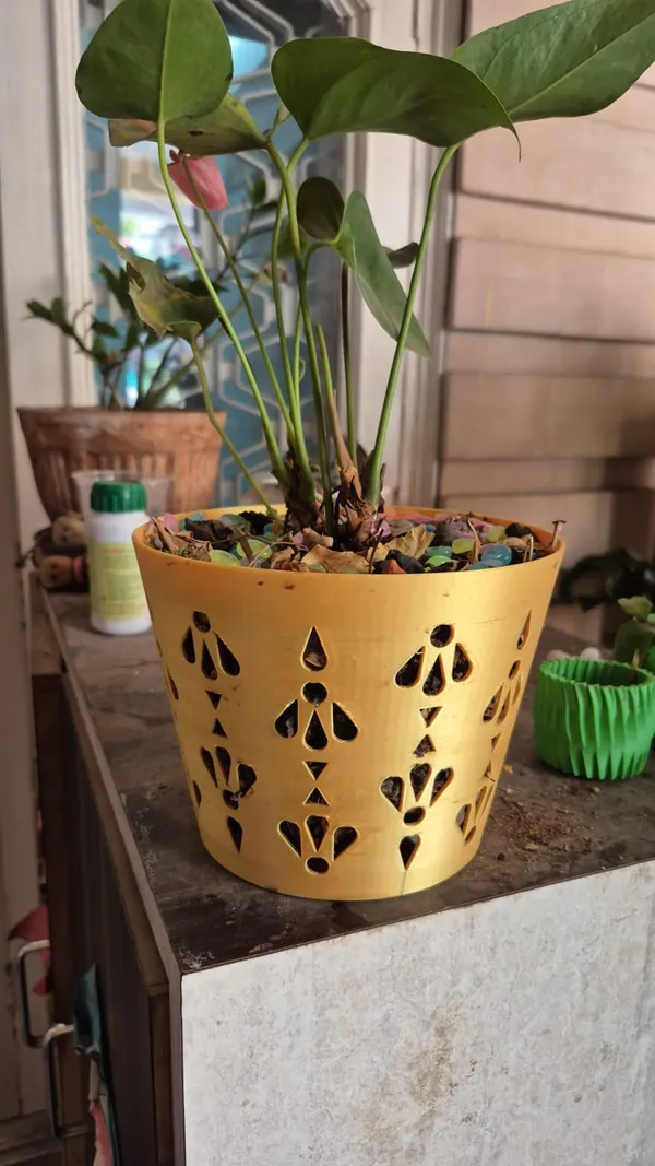 Printed_Translucent_Gold_Planter_Pot_With_Lattice_Moss_Pole_And_Decorative_Topping