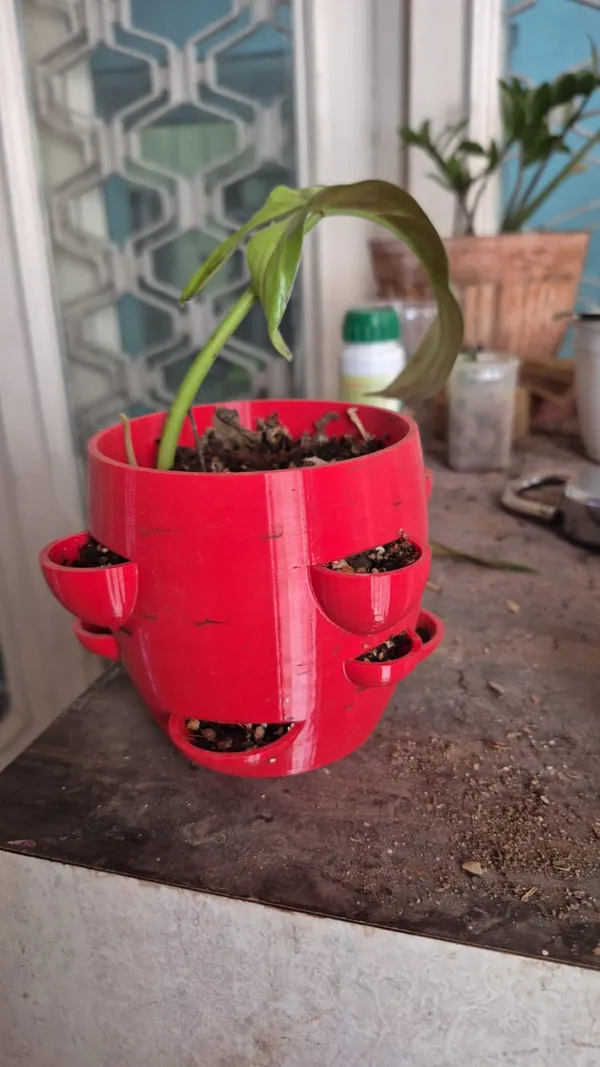 Red_Face_Flower_Planter_Pot_With_Drainage_Holes_-_Creative_Indoor_Plant_Container