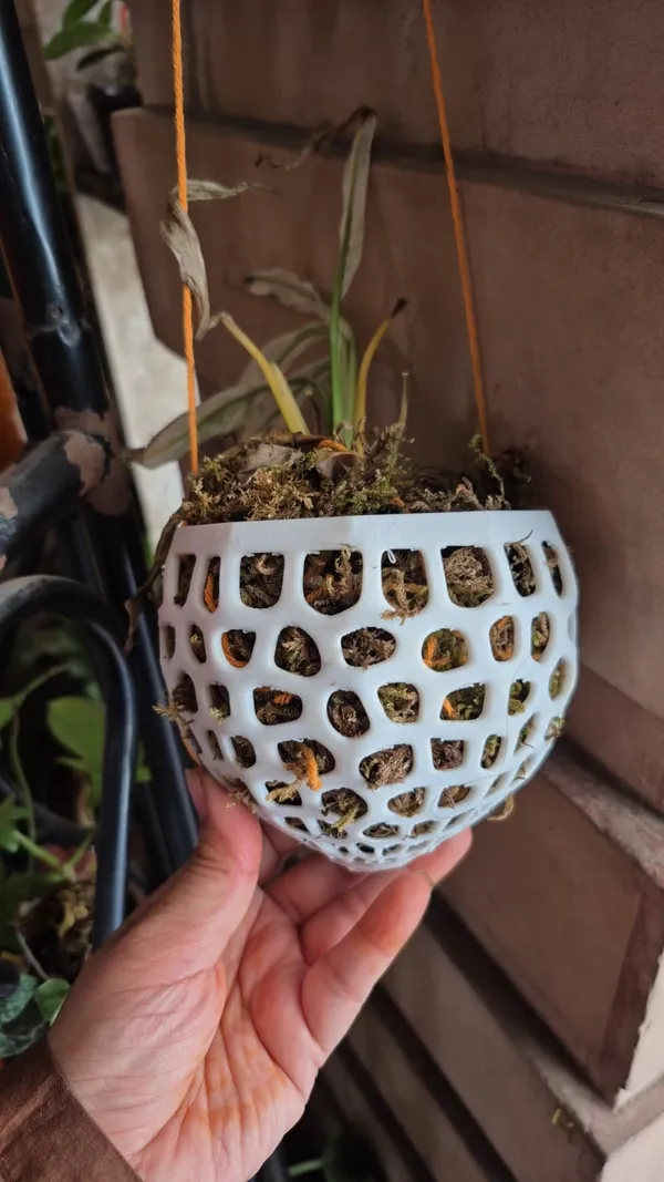 White_Hanging_Orchid_Planter_Pot_With_Drainage_Holes