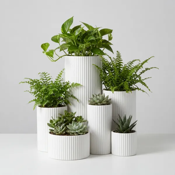 Set_Of_White_Cylindrical__Planters_-_Multi-Size_Indoor_Plant_Pots