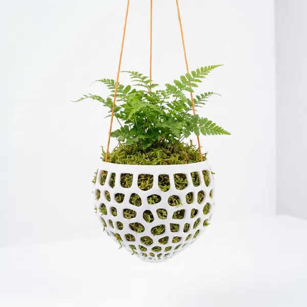 White_Hanging_Orchid_Planter_Pot_With_Drainage_Holes