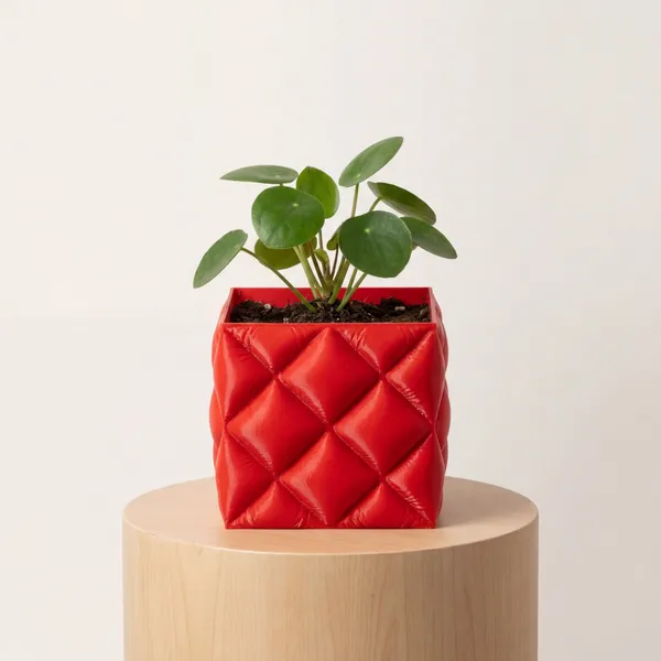 3D_Soft_Cloth_Red_Planter_Pot_-_Modern_Desktop_Succulent_Holder