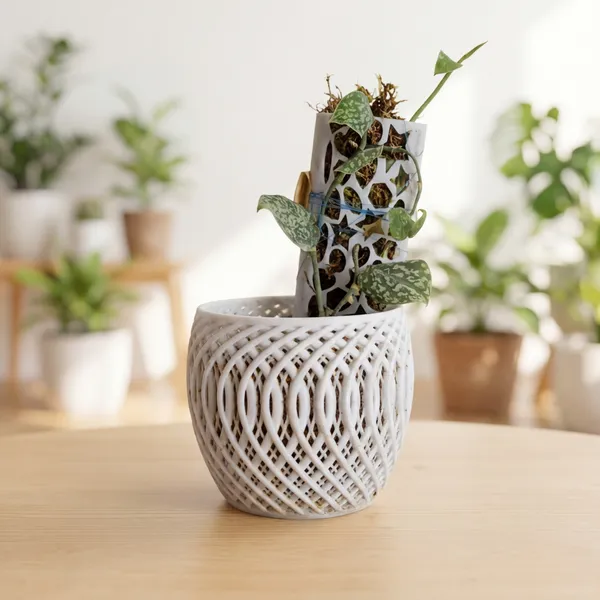 White_Decorative_Orchid_Planter_Pot_With_Moss_Pole