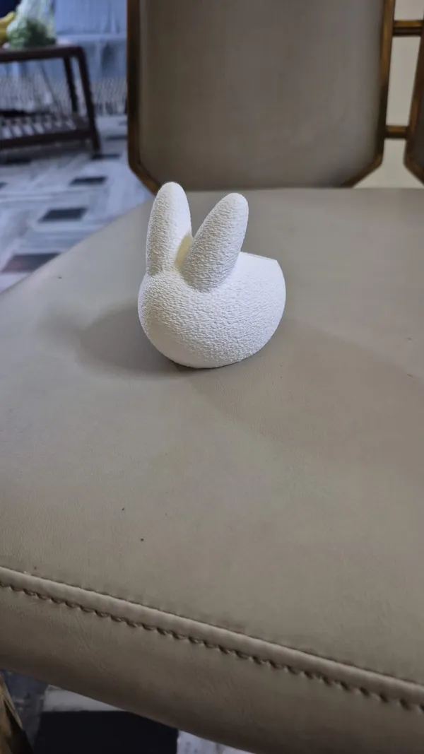 3D_White_Pla_Bunny_Figurine_-_Decorative_Home_Accent
