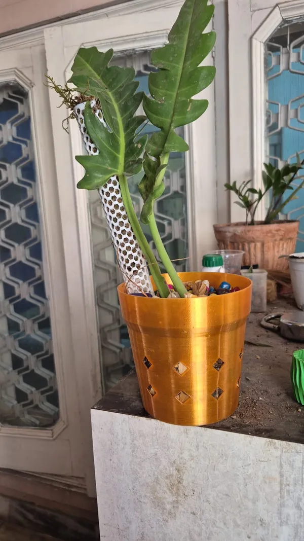 Golden_Decorative_Planter_Pot_With_Diamond_Design_With_Moss_Pole