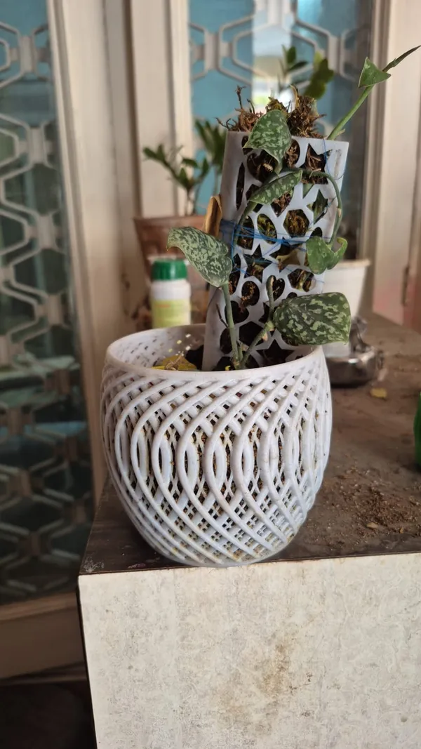 White_Decorative_Orchid_Planter_Pot_With_Moss_Pole