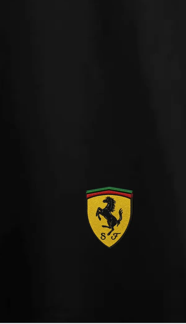 Black_Ferrari_Logo_Oversized_T-Shirt_For_Men