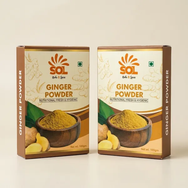 Ginger_Powder_100_Gm_Pack_of_2_x_100_Gm