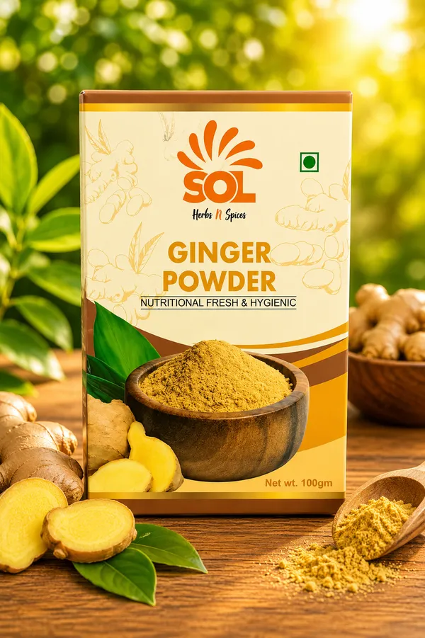 Ginger_Powder_100_Gm_Pack_of_2_x_100_Gm