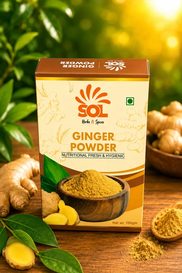 Ginger_Powder_100_Gm_Pack_of_2_x_100_Gm