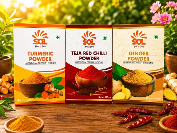Pack_Of_3_Turmeric_Powder,_Teja_Red_Chili_Powder,_Ginger_Powder