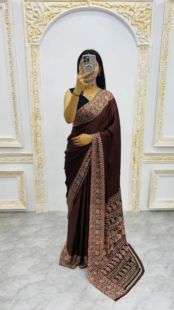 Brown_Embroidered_Saree_With_Designer_Border