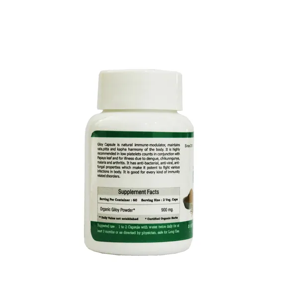 Dr.Bhargav’S_I_Guduchi_I_Giloy_Powder_|_Tinospora_Cordifolia|_Immunity_Booster_|_Inflammation_|_Fights_Toxin_|_Throat_Irritation_I_Cough_|_Immune_Disorders_|_Uric_Acid_|_Burning_Toxins|_100_Gm