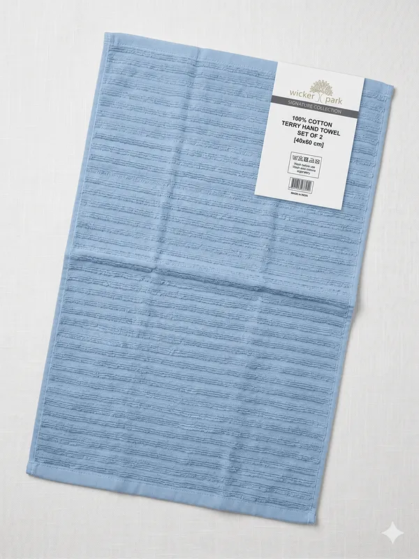 Light_Blue_Hand_Towel_Set_Of_2_|_Soft_|_100%_Cotton_|_40X60_cm