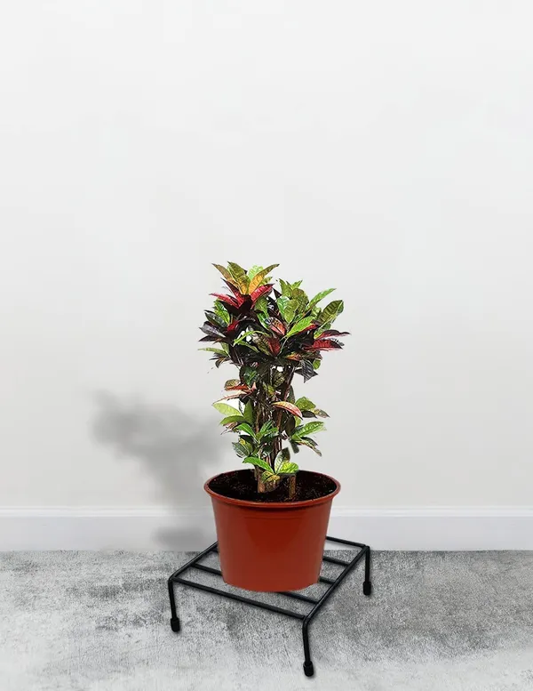 Iron_Lands_Square_Heavy_Planter_Pot_Stand_Gamla_Stand_Flower_Stand_Without_Planter_Pack_Of_8