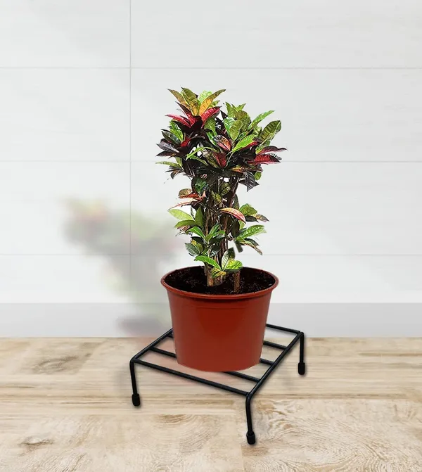 Iron_Lands_Square_Heavy_Planter_Pot_Stand_Gamla_Stand_Flower_Stand_Without_Planter_Pack_Of_8