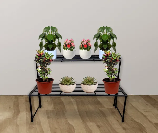 Iron_Lands_Heavy_Long_2_Step_Stand_For_Multiple_Plants_And_Pots_Stand_Indoor_Shelf_Holder_Rack_Gardening_Stand_Indoor_Outdoor