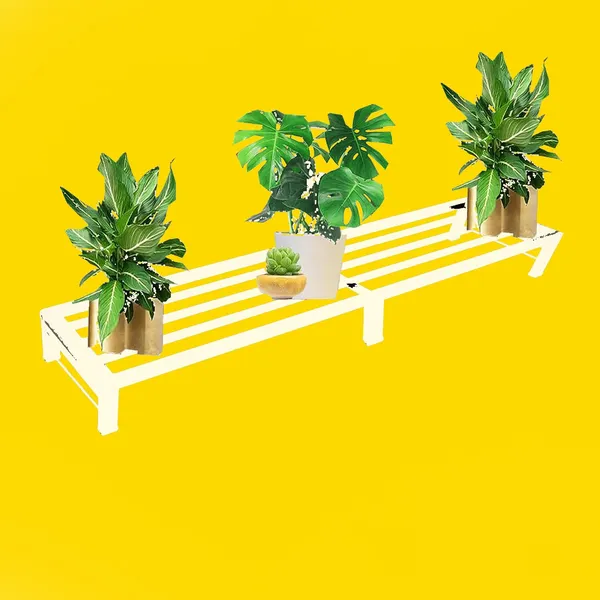 Iron_Lands_Oak_Pot_Stand_3_Feet_Spectacular_Heavy_Duty_Indoor_Outdoor_Plant_Premium_Flower_Gamla_Shelves_Rack_For_Garden_Balcony_Home_Living_Room_Decor_Pack_Of_2_White
