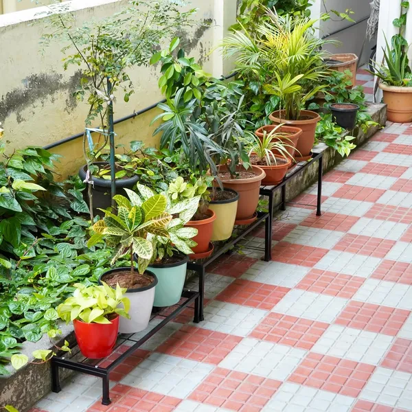 Iron_Lands_Metal_Elegance_3_Step_Pot_Stand_Premium__Heavy_Duty_Indoor_Outdoor_Multiple_Flower_Pot_Holder_Shelf_Planter_Display_For_Patio_Garden_Balcony_Home_Decor_Elegance_3_Step_Black