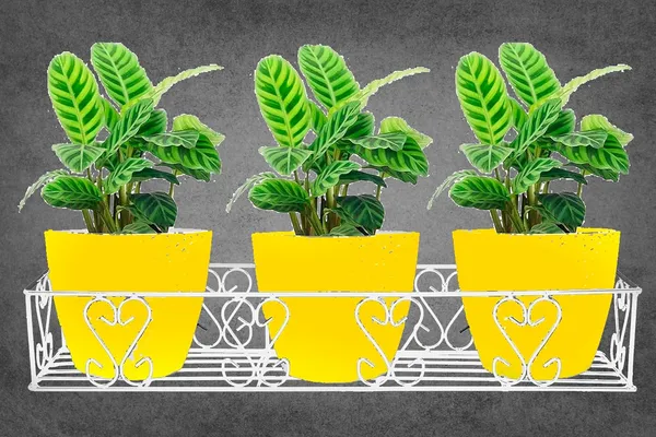 Iron_Lands_Railings_Pot_Stand_Hanging_Pot_Stands_For_Plants_In_Balcony_Railing_Gamla_For_Decoration_Items_Indoor_Outdoor_Stand_For_Home_Living_Room_Garden_Decor_Pack_Of_1_White