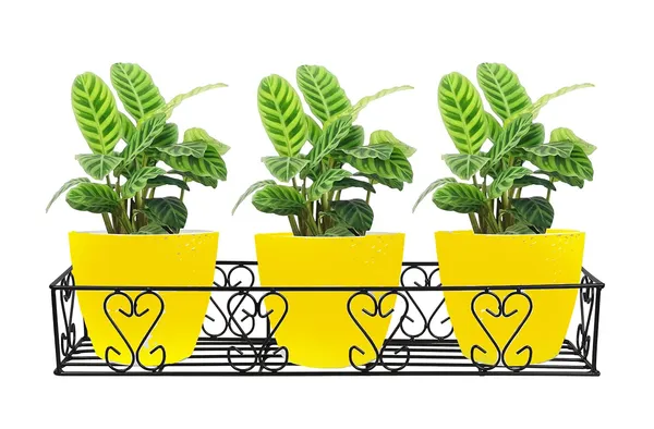 Iron_Lands_Metal_Railings_Pot_Stand_Hanging_Pot_Stands_For_Plants_In_Balcony_Railing_Gamla_For_Decoration_Items_Indoor_Outdoor_Stand_For_Home_Living_Room_Garden_Decor_Pack_Of_1_Black