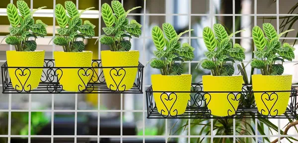 Iron_Lands_Metal_Railings_Pot_Stand_Hanging_Pot_Stands_For_Plants_In_Balcony_Railing_Gamla_For_Decoration_Items_Indoor_Outdoor_Stand_For_Home_Living_Room_Garden_Decor_Pack_Of_2_Black