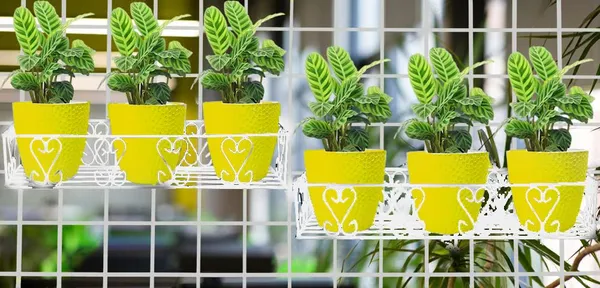 Iron_Lands_Railings_Pot_Stand_Hanging_Pot_Stands_For_Plants_In_Balcony_Gamla_For_Decoration_Items_Indoor_Outdoor_Stand_For_Home_Kitchen_Living_Room_Garden_Decor_White_Pack_Of_2_Pcs
