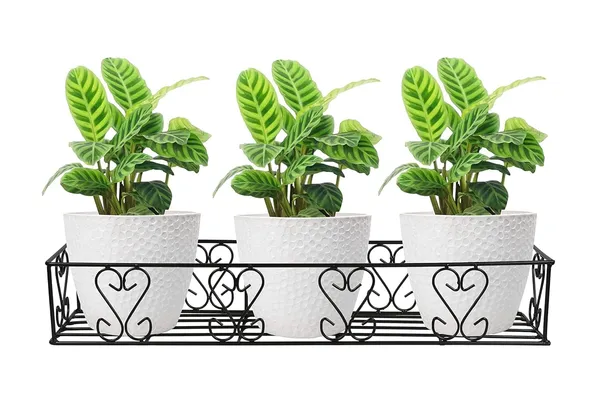 Iron_Lands_Railings_Pot_Stand_Hanging_Pot_Stands_For_Plants_In_Balcony_Gamla_For_Decoration_Items_Indoor_Outdoor_Stand_For_Home_Kitchen_Living_Room_Garden_Decor_Black_1_Pcs