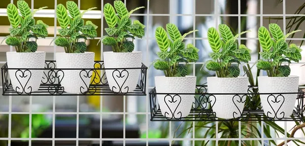 Iron_Lands_Railings_Pot_Stand_Hanging_Pot_Stands_For_Plants_In_Balcony_Gamla_For_Decoration_Items_Indoor_Outdoor_Stand_For_Home_Kitchen_Living_Room_Garden_Decor_Black_Pack_Of_2_Pcs