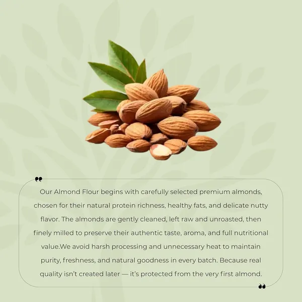Shree_Aanantam_100_Pure_Natural_Premium_Almond_Flour_Pack_Of_2