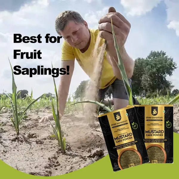 Mustard_Oil_Cake_Powder_Organic_Fertilizer_For_Home_Garden_Potting_Plant_Growth_For_Plants