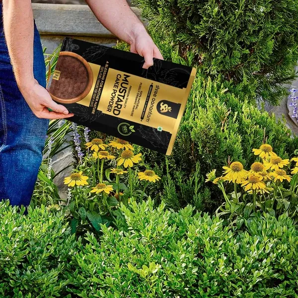 Mustard_Oil_Cake_Powder_Organic_Fertilizer_For_Home_Garden_Potting_Plant_Growth_For_Plants
