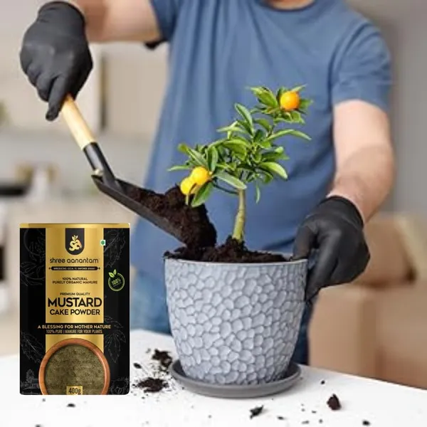 Mustard_Oil_Cake_Powder_Organic_Fertilizer_For_Home_Garden_Potting_Plant_Growth_For_Plants