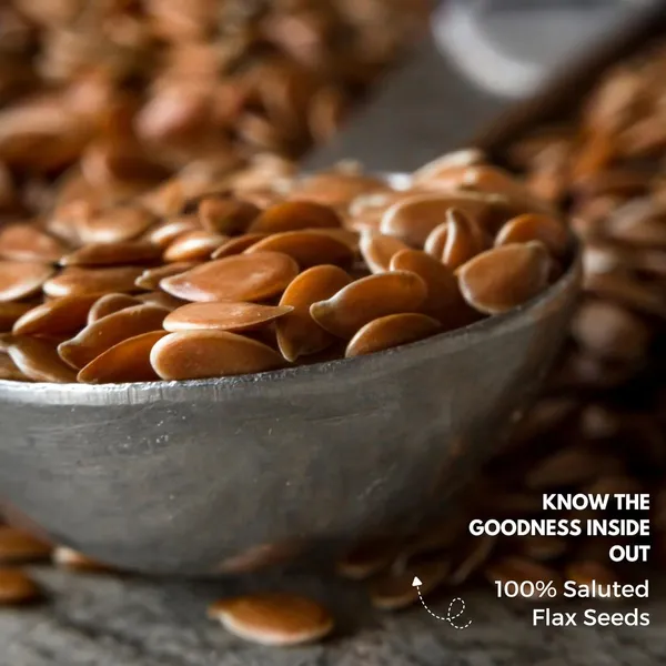 Shree_Aanantam_Flax_Seeds_Roasted_Flax_Seeds_Salted_With_Lemon_Flavor_Diet_Food_Flax_Seeds_For_Eating_Salted_With_Lemon_Flavor_Alsi_Seeds_Rich_In_Omega_3_100_Gr