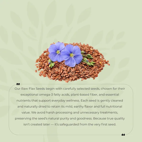Shree_Aanantam_Flax_Seeds_Roasted_Flax_Seeds_Salted_With_Lemon_Flavor_Diet_Food_Flax_Seeds_For_Eating_Salted_With_Lemon_Flavor_Alsi_Seeds_Rich_In_Omega_3_100_Gr