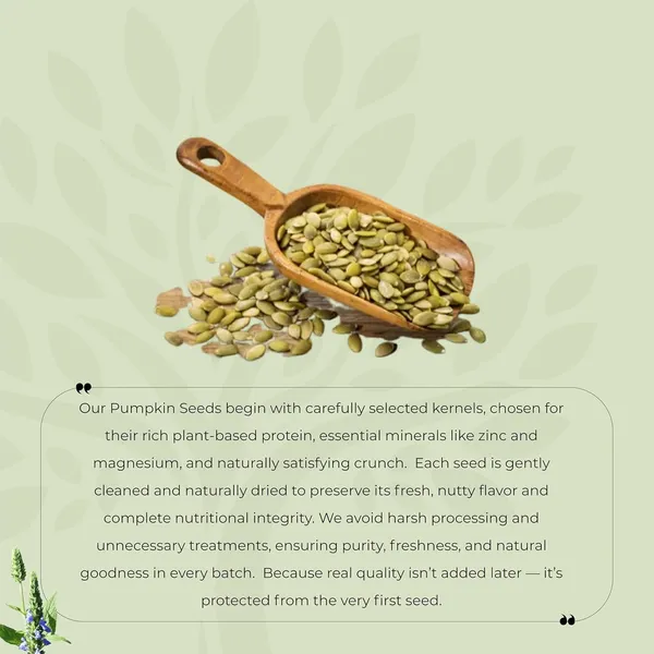 Shree_Aanantam_Organic_Pumpkin_Seeds