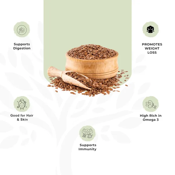 Shree_Aanantam_Unroasted_Diet_Flax_Seeds